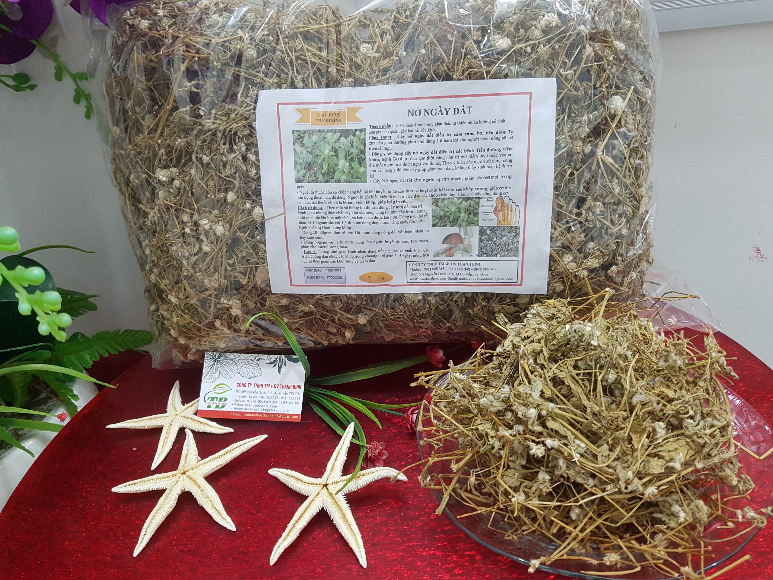 Cây nở ngày đất 1kg