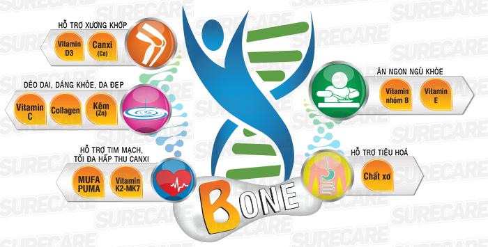 Sữa Surecare Bone 900g combo 2 hộp
