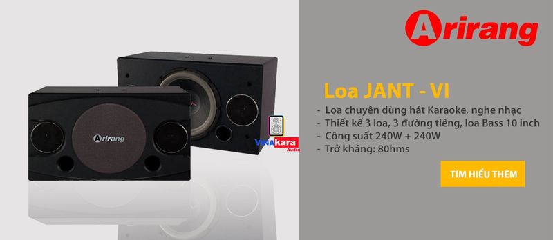 Loa Arirang JANT VI