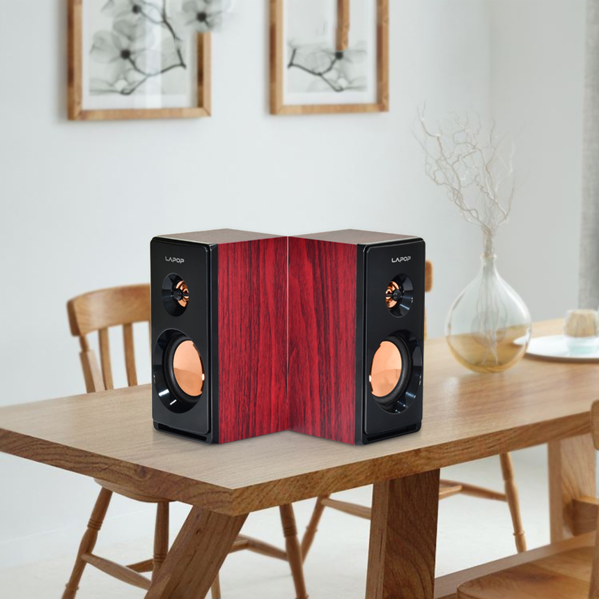 Loa vi tính Lapop A55