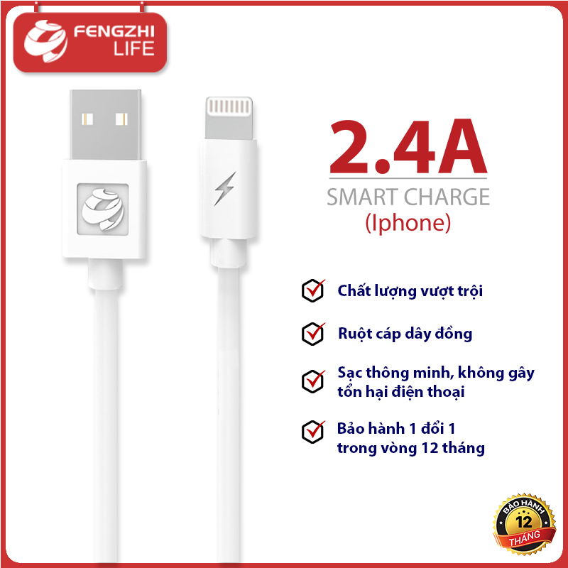 CÁP SẠC FENGZHI X100