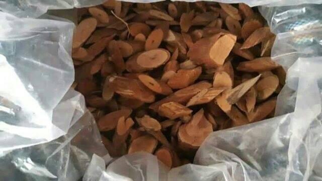 Cây Mú Từn 1kg