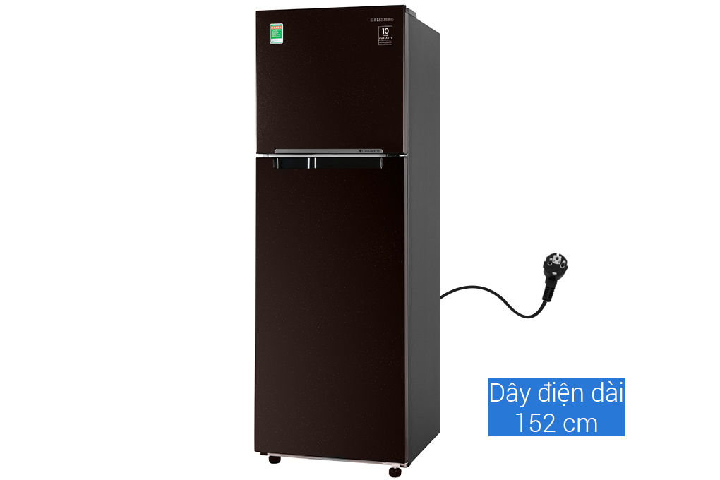 Tủ lạnh Samsung RT25M4032BY/SV Inverter 256 lít