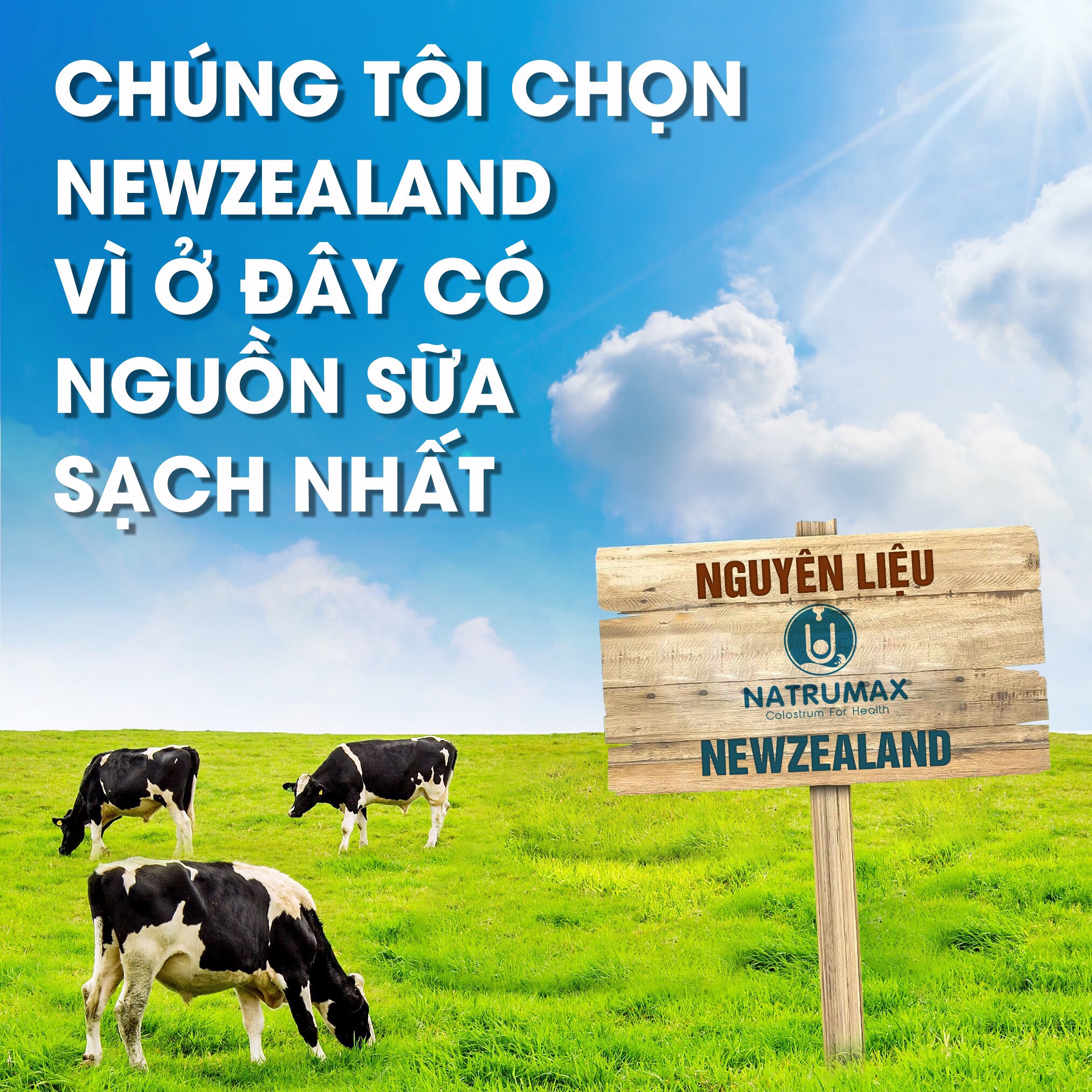 Sữa non Natrumax Diabet 800g