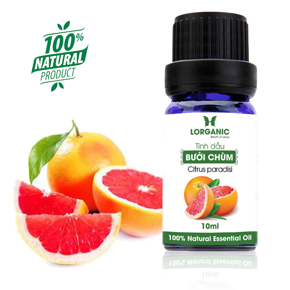 MÁY KHUẾCH TÁN TINH DẦU LORGANIC FX2044