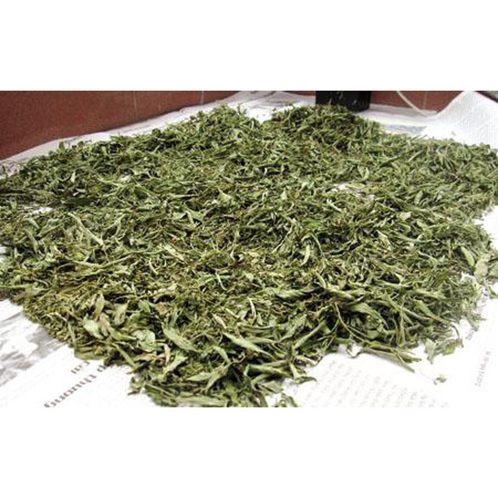 Đinh Lăng khô 1kg
