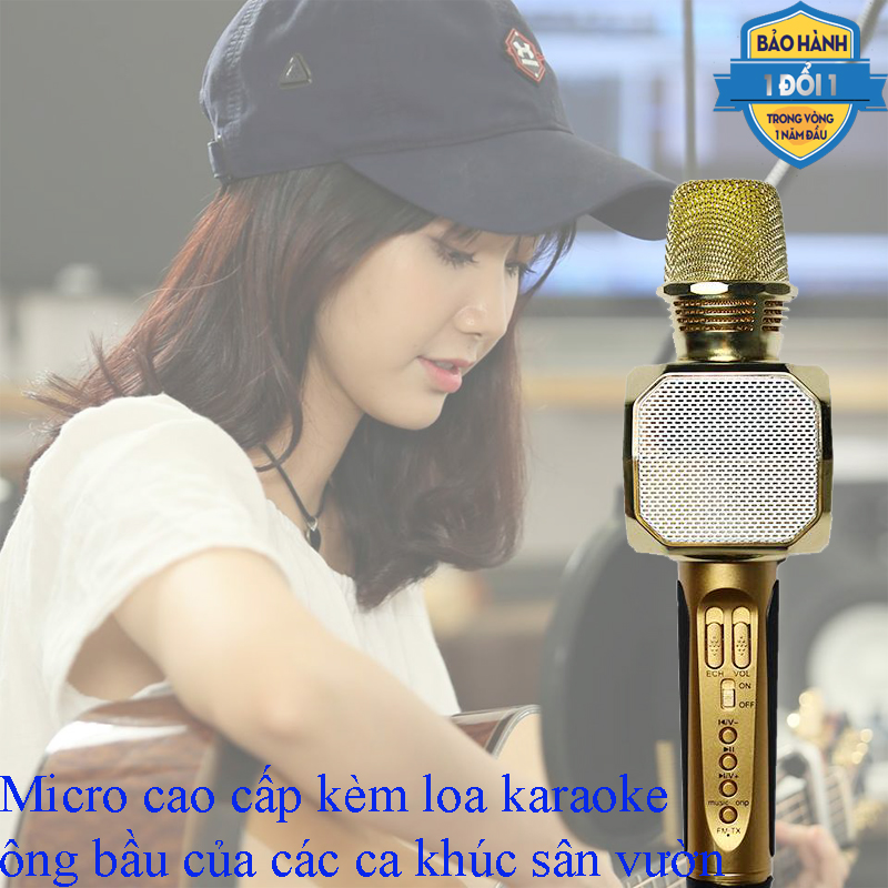 Micro kèm loa YS-10