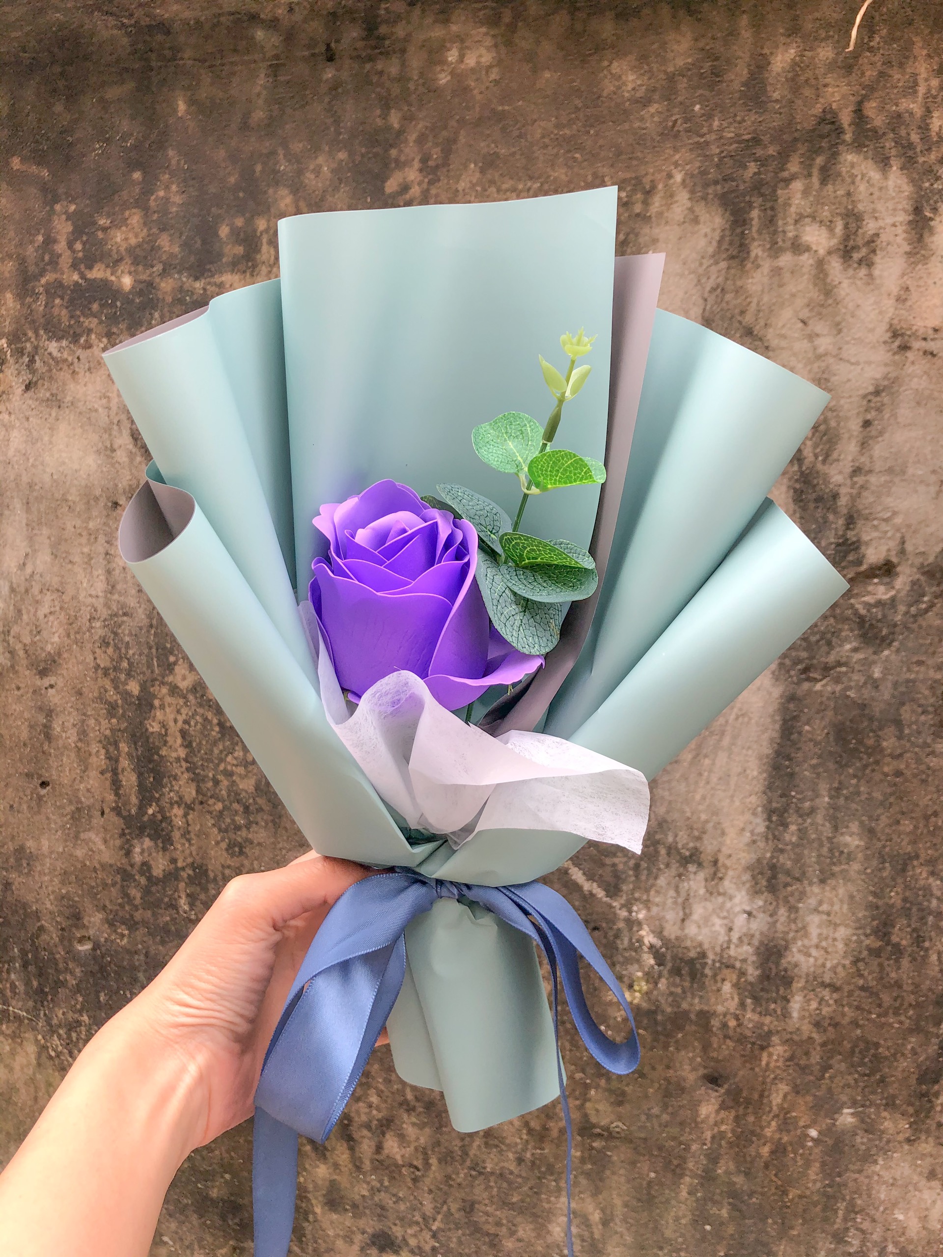 Bộ gói hạt giống Hoàng anh