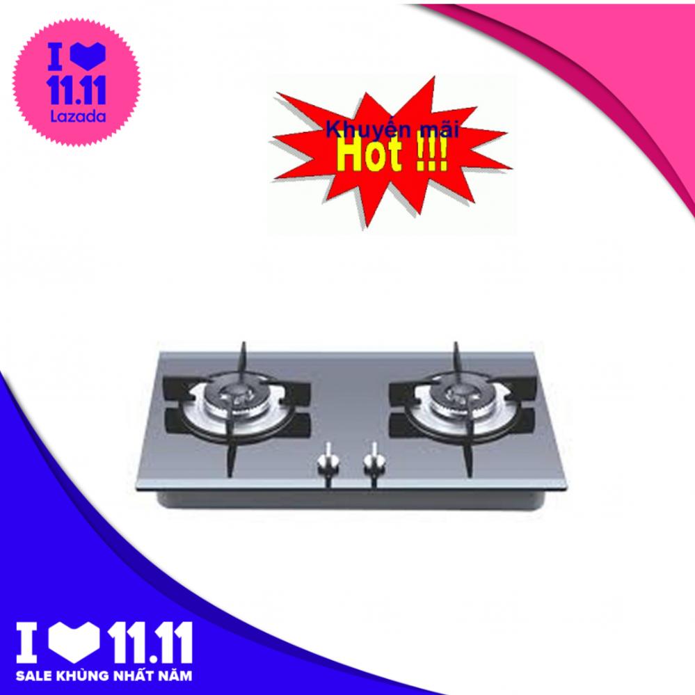 Bếp Gas Đôi Faster FS213GS