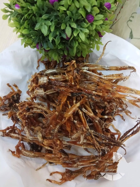 Khô Nhái (Vũ nữ chân dài)