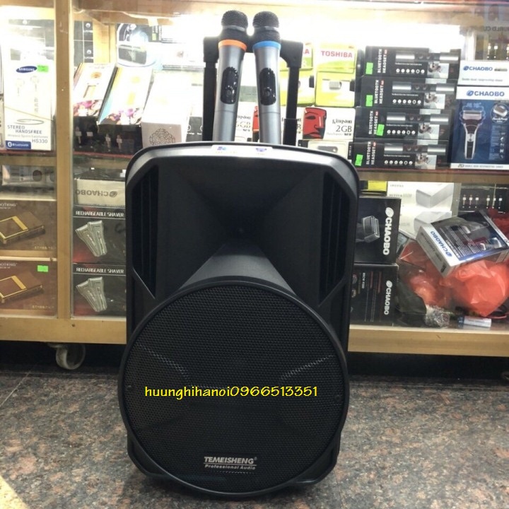 loa karaoke di động Temeisheng A12-44