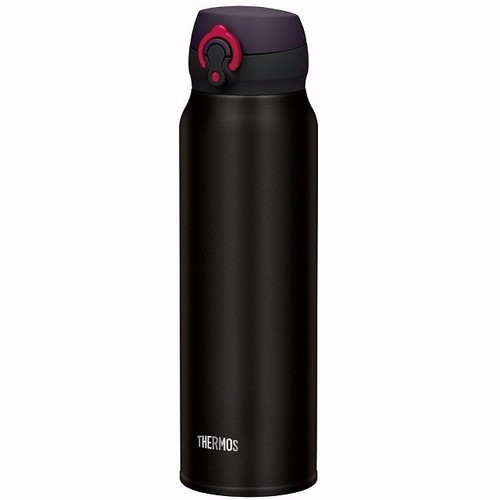 Bình giữ nhiệt Thermos JNL-602 600ml