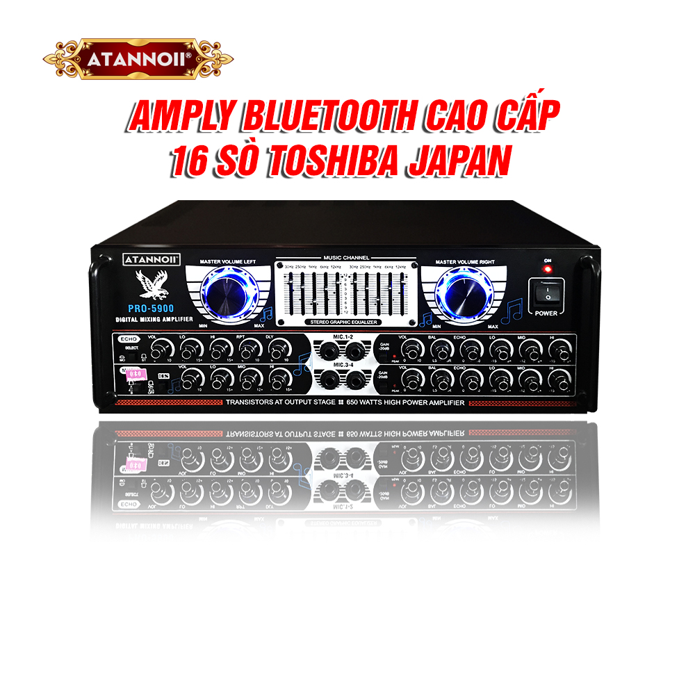 Amply ATANNOII PRO-5900