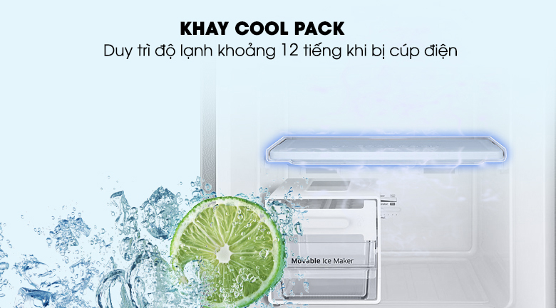 Tủ Lạnh Samsung RT22M4033S8SV 236L