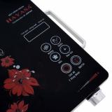Bếp hồng ngoại Hayasa 86-HA