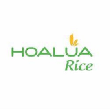 Gạo Hoa Lúa vàng 2kg