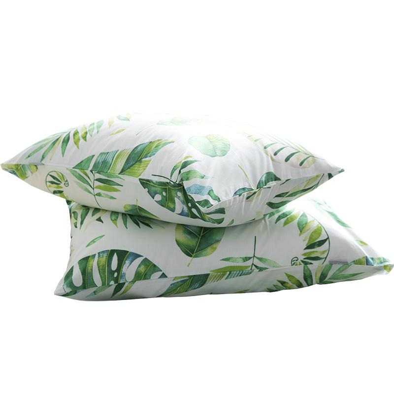 Bắc Âu Tối Giản Nổi Danh Trên Mạng Thực Vật 100% Cotton Vỏ Gối Cặp 48*74 Cm 100% Cotton Màu Đen Và Trắng Gió Trang Trí Phù Hợp Với Vỏ Gối