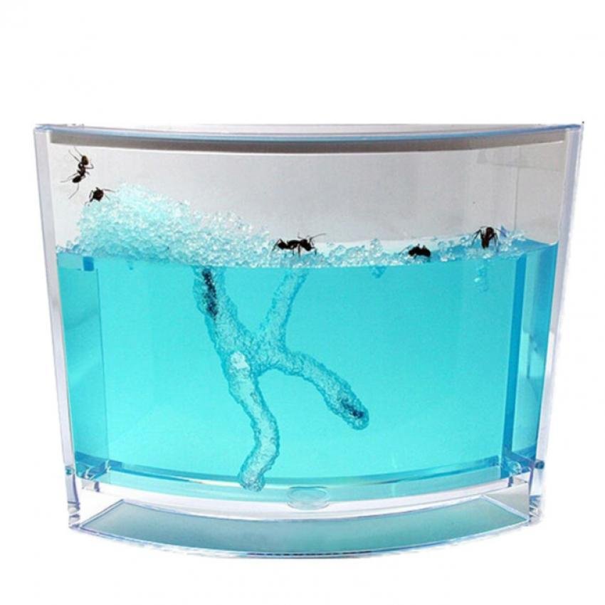 Bộ nuôi kiến 4D Ant Works