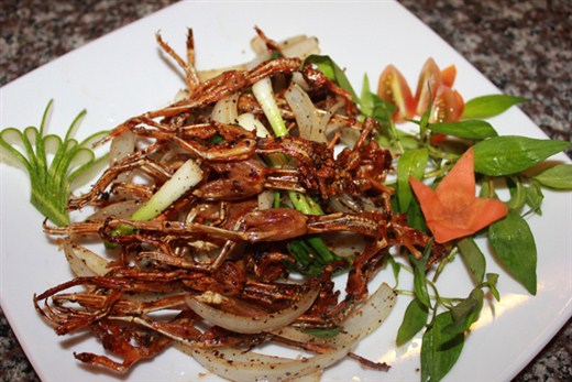 Khô Nhái (Vũ nữ chân dài)