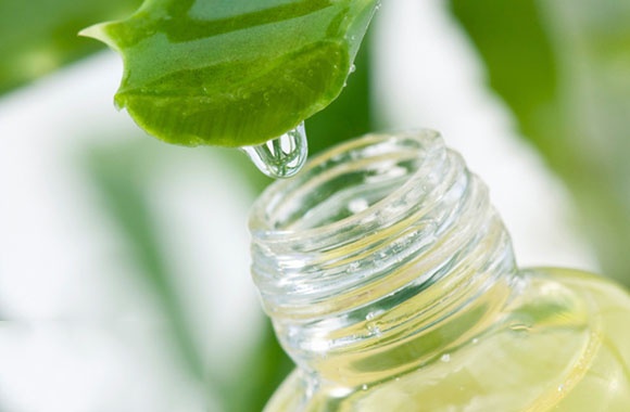 Son dưỡng môi sáp ong Cocoon - Lip Care