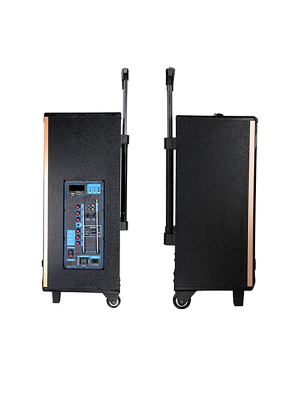 Loa Kéo Temeisheng Qx1202