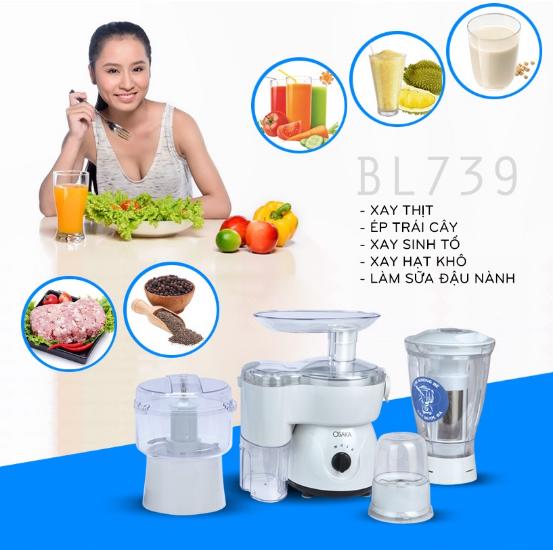 Máy xay ép đa năng Osaka BL739 4 cối