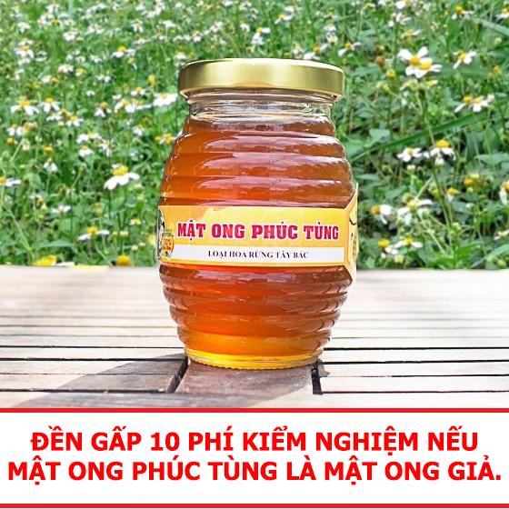 Mật Ong Phúc Tùng Hoa Rừng Tây Bắc
