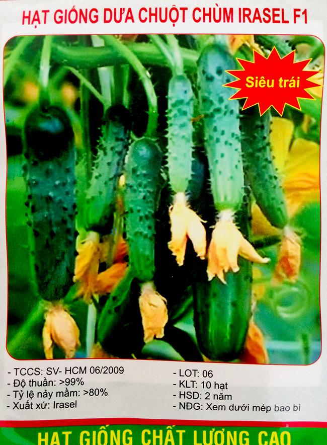 Hạt Giống Dưa Chuột bao tử