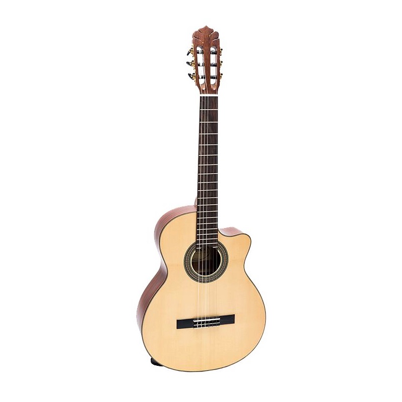 Đàn guitar DC350