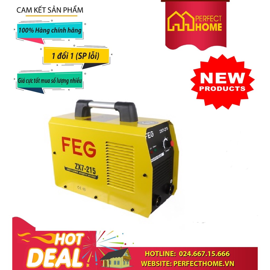 MÁY HÀN ĐIỆN TỬ FEG ZX7-215