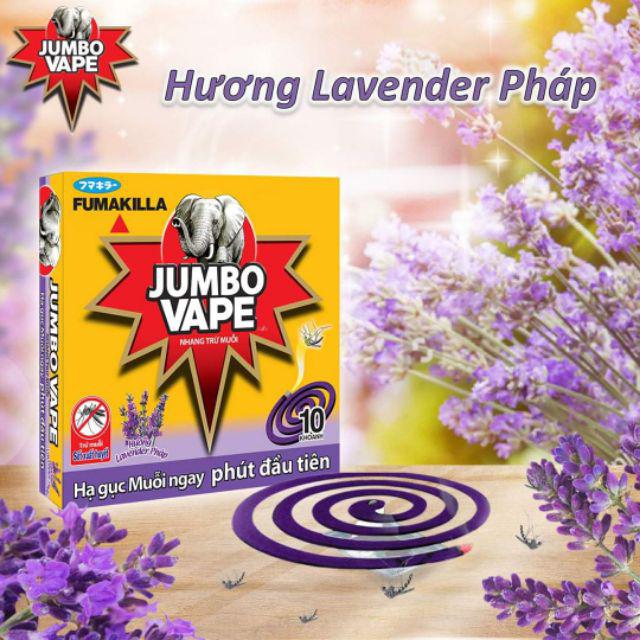 nhang muỗi Jumbo Vape Lavender combo 5 hộp