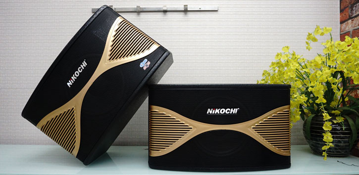 LOA NIKOCHI NK-458P