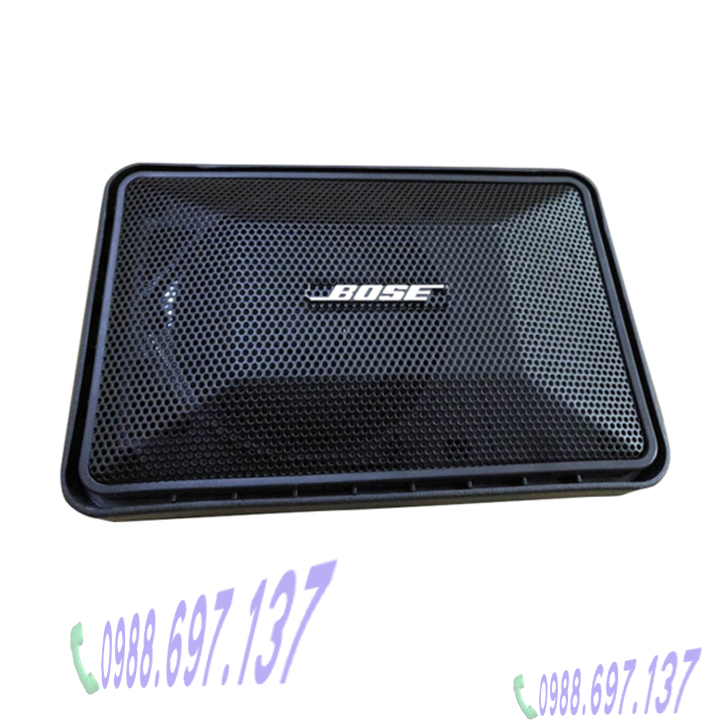 LOA BOSE 101