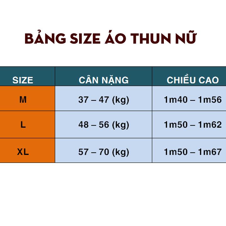 Áo thun nam tay dài cao cấp AT31