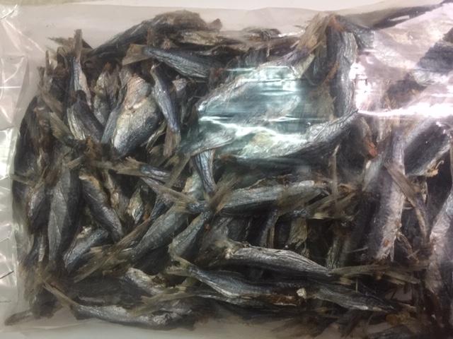 Cá chuồn mít