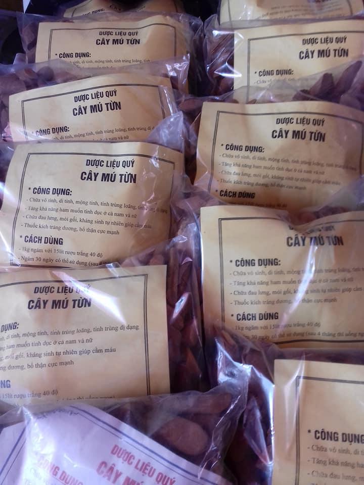 Cây Mú Từn 1kg