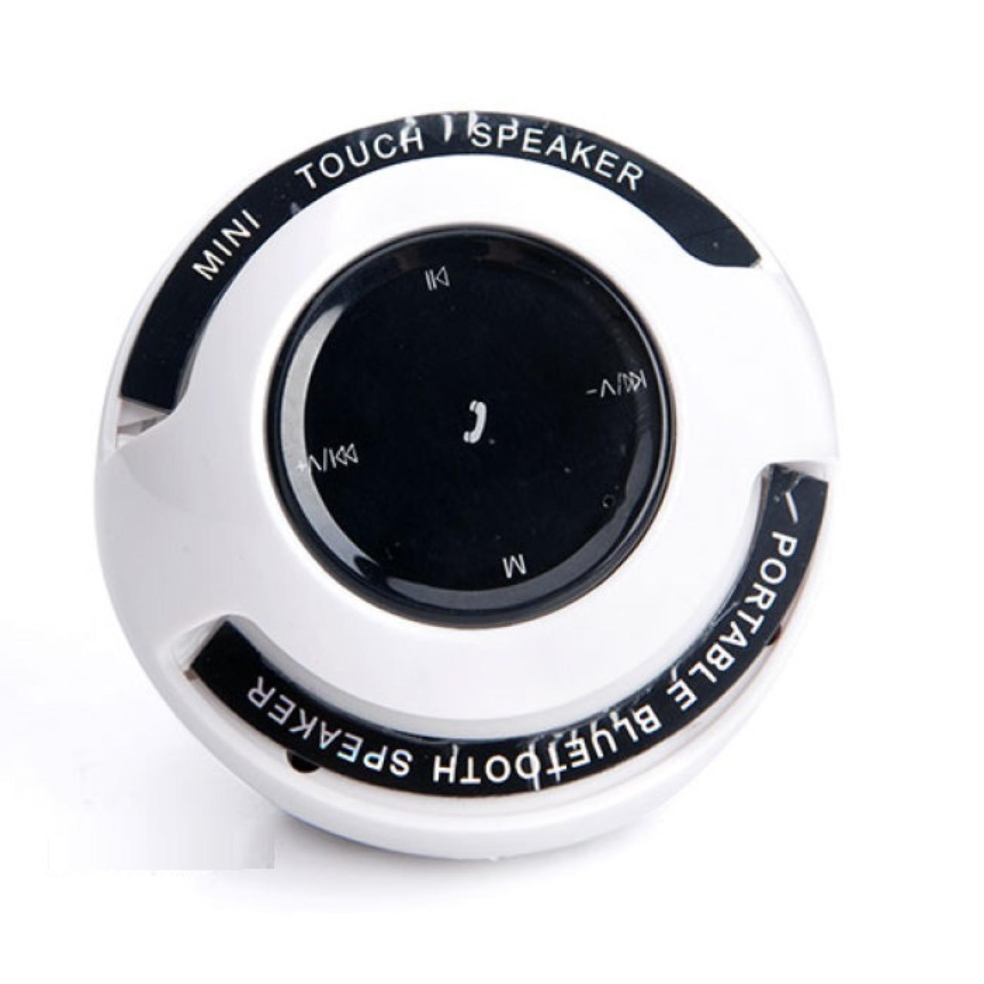 Loa bluetooth WSTER WS-136