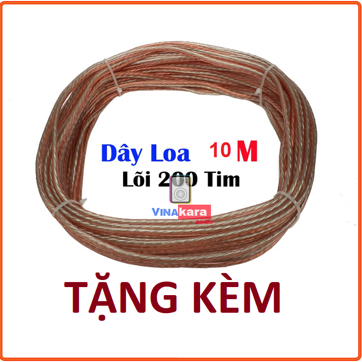 Loa Arirang S1010