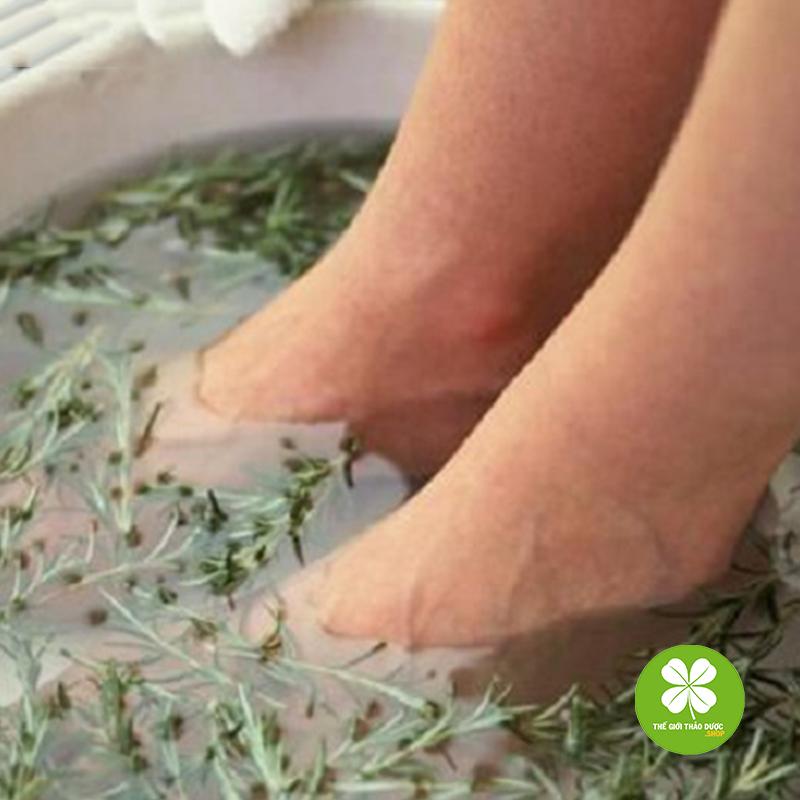 Áo thun Cặp cao cấp TD194