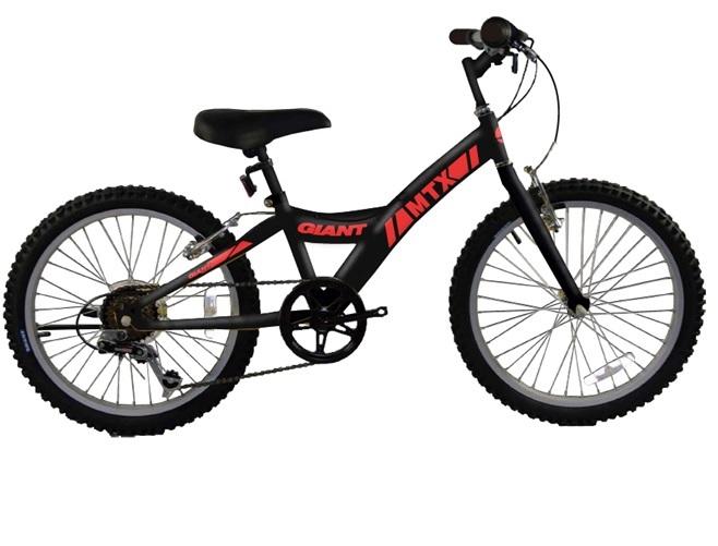Xe đạp Giant MTX 20