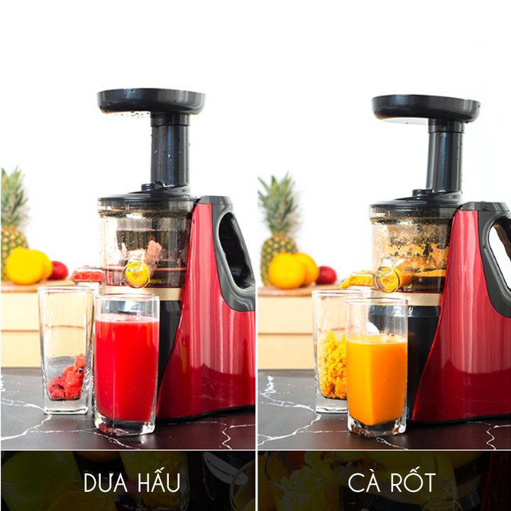 Máy ép chậm Hongxin RH311