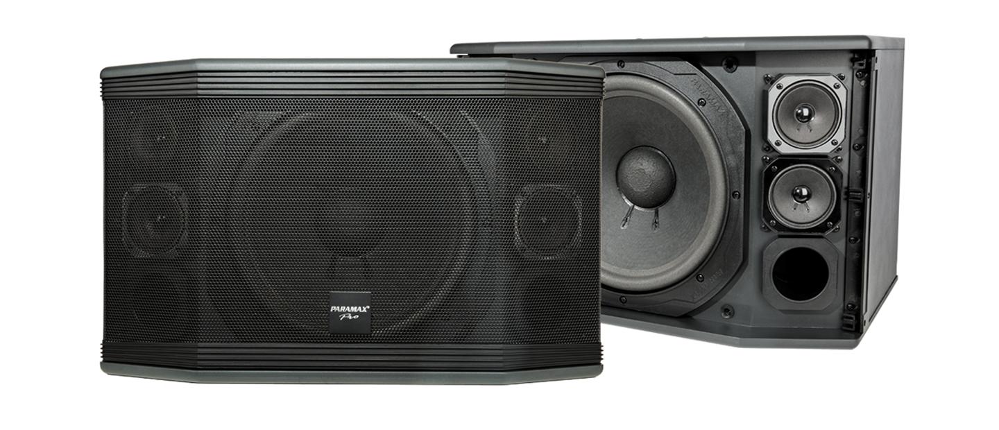 Loa Paramax Pro C10