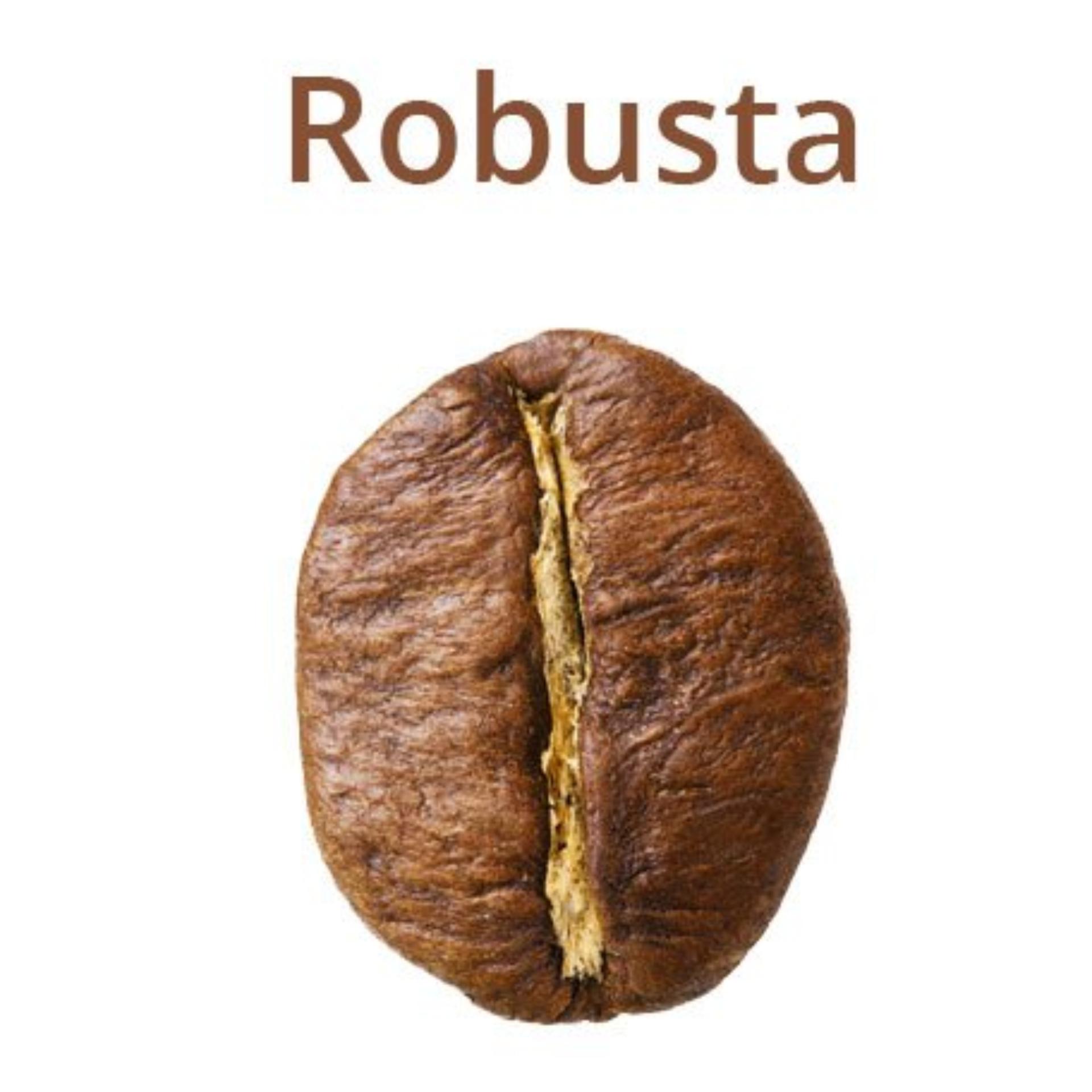Cà phê Robusta Vien's cafe 500g