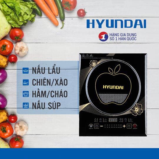 Bếp từ Hyundai HDE 1122
