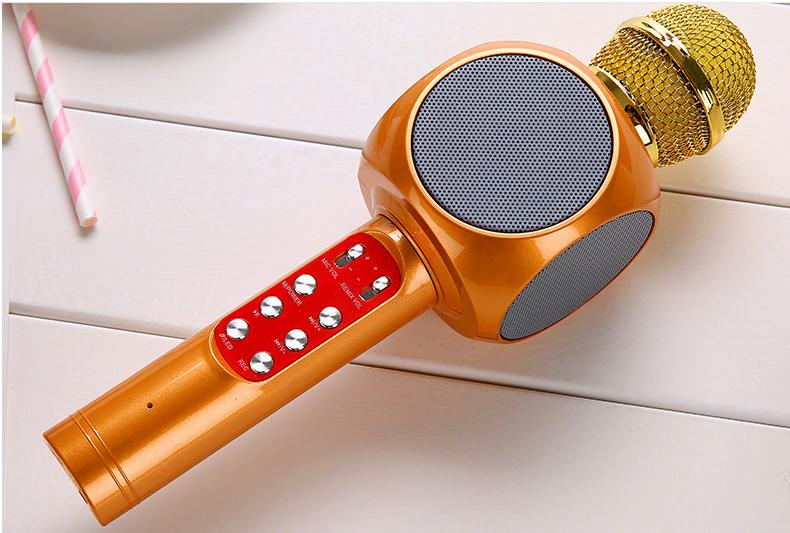 Microphone karaoke kèm loa WS-1816