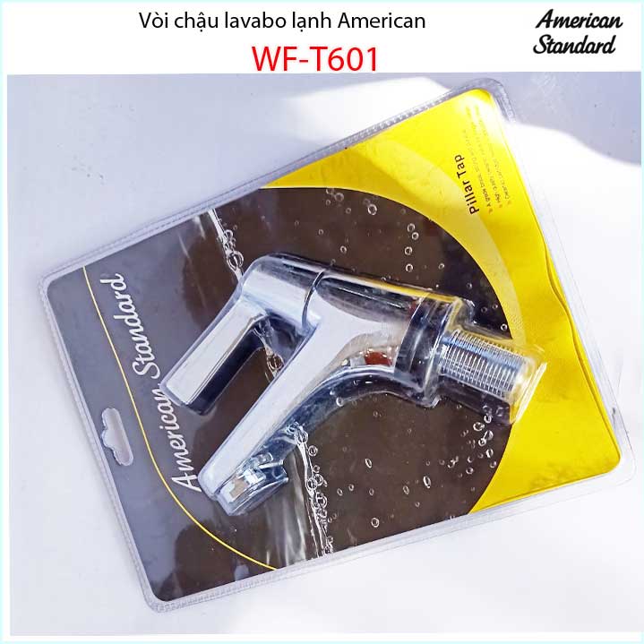 Vòi rửa mặt nước lạnh American Standard WF-T601
