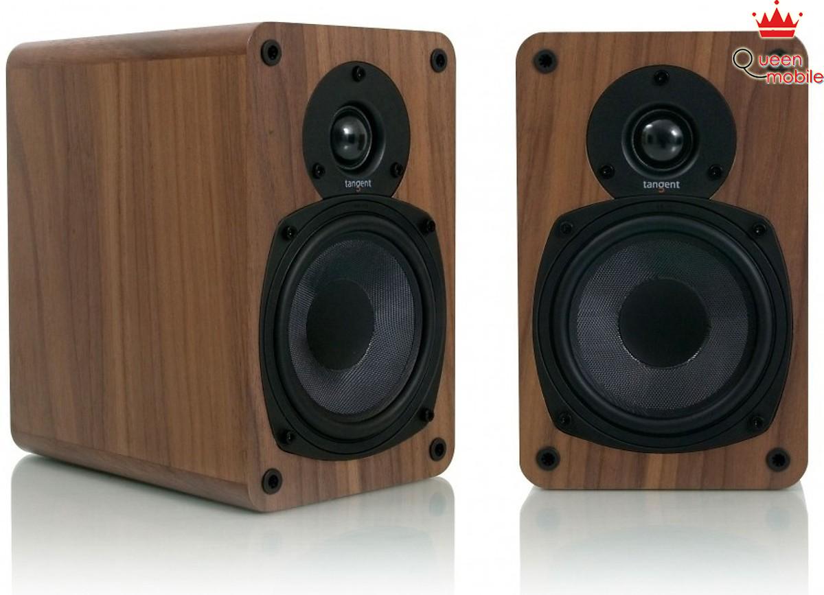 Loa Tangent Audio EVO E5
