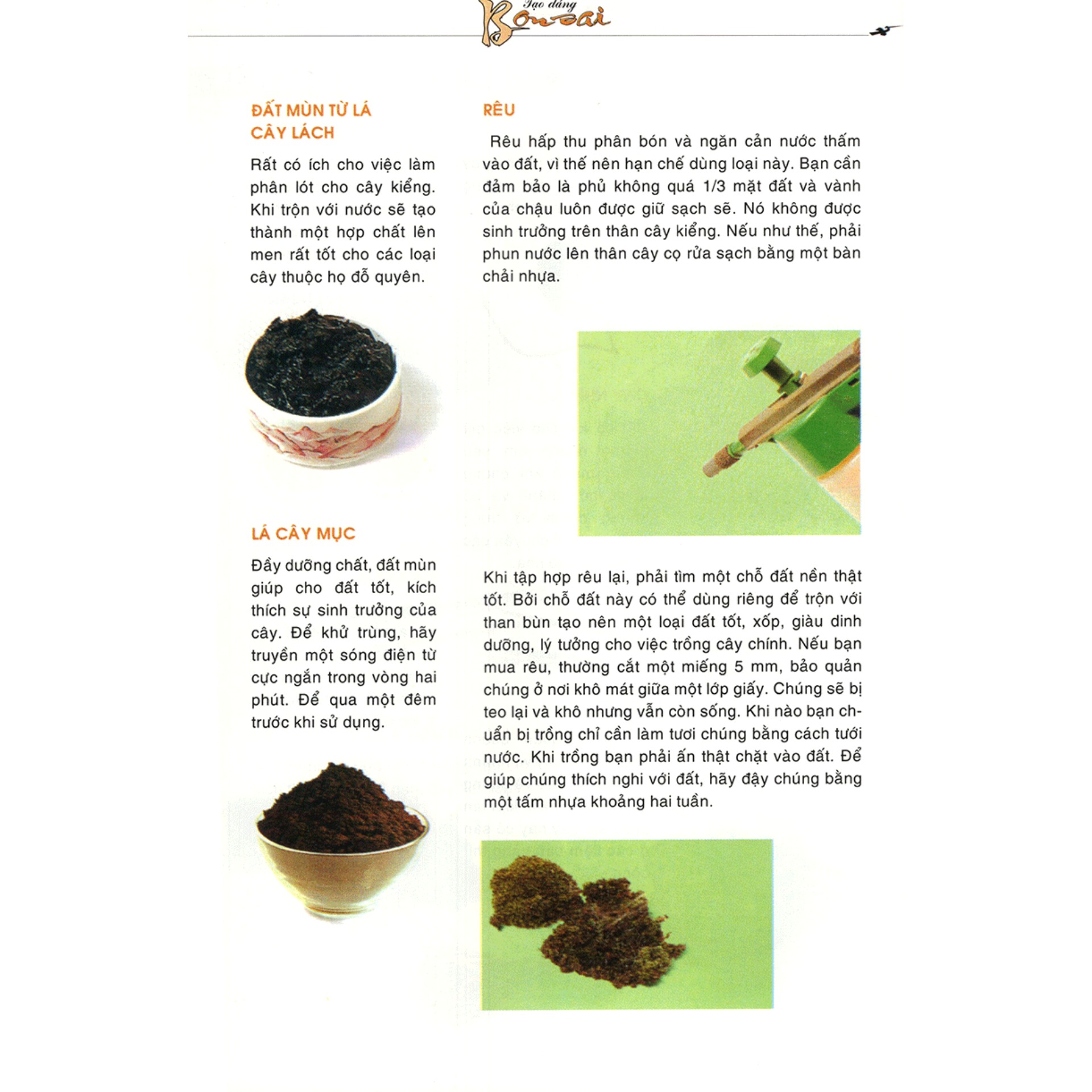 Tạo Dáng Bonsai