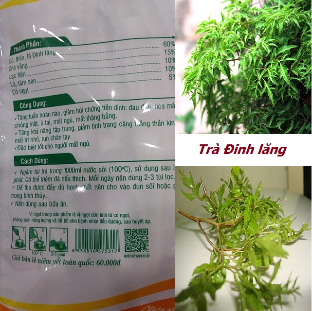 Trà đinh lăng Thái Hưng 50 túi loc