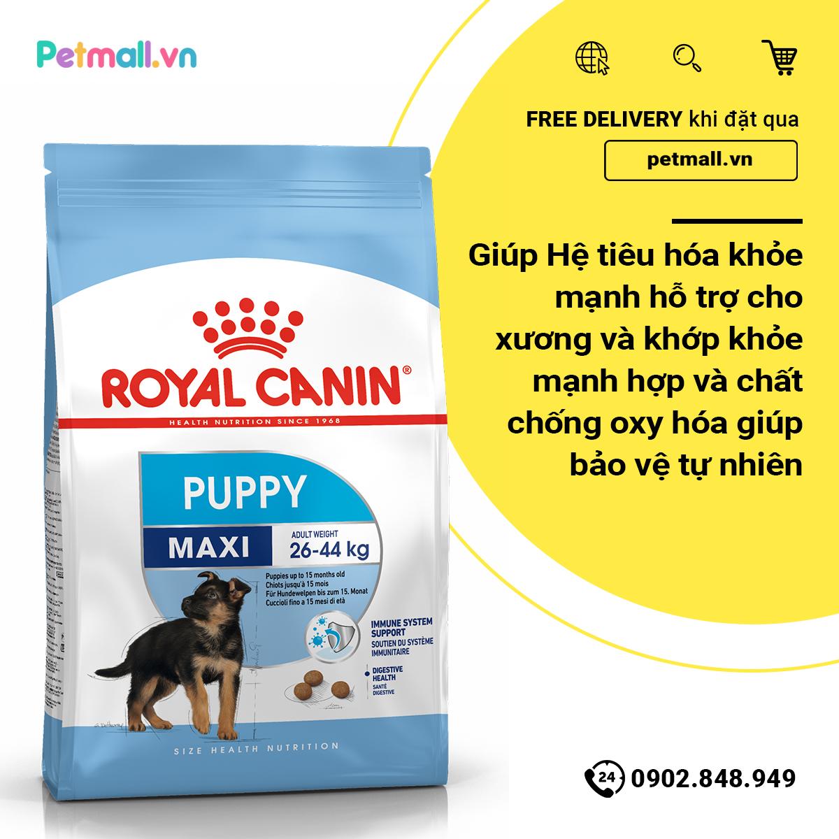 Thức ăn chó Royal Canin Maxi Puppy - 10kg